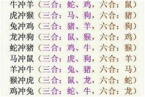 肖牛六合|十二生肖6合3合对照表 十二生肖三合六合表